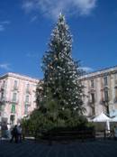 Catania - The 2005 Christmas Tree at University Square