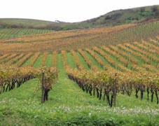 offerte autunno inverno a catania