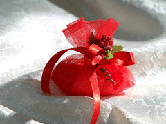 feste laurea catania